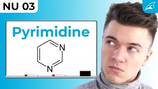 Pyrimidinsynthese - einfach erklärt! // Bildung von Uracil & Cytosin