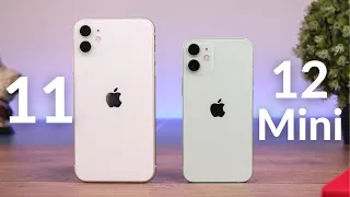 iPhone 11 vs iPhone 12 Mini: A Difficult Choice