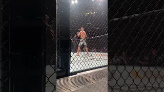 Dustin Poirier KO ￼!!