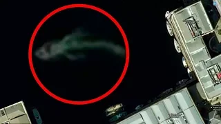 Mysterious Sea Creatures Spotted On Google Earth!