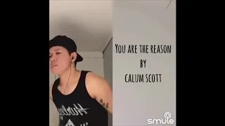 YOU ARE THE REASON by Calum Scott