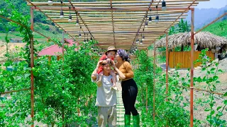 Together with Sang Vy, build a gourd & melon garden at the green farm  - a family garden