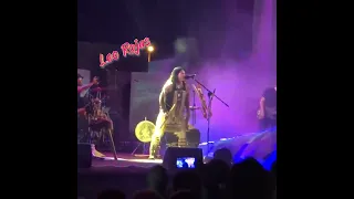 The magic of Leo Rojas for you!..🔥♥️💫  @LEOROJASofficial #panflute #leorojas