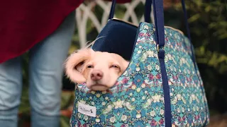 Strawberry Thief Adjustable Luxury Dog Carrier by Teddy Maximus