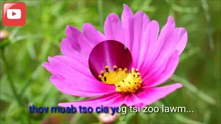 Maiv muas kwm "tsis txhob tu siab" OFFICIAL​ instrumental​