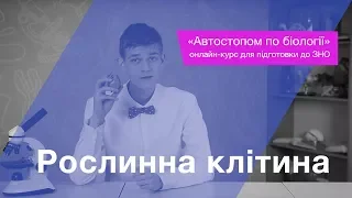 Рослинна клітина – Підготовка до ЗНО – Біологія