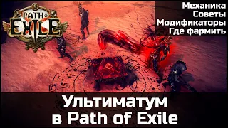 Выгодный фарм Ультиматума в Path of Exile 3.14 | Гайд по механикам