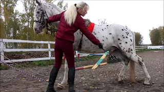 Дрессировка лошадей. Практические уроки. Трапеция, шпагат.