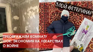 ПОЛОЦК: РЕМОНТ С СЕСТРОЙ, ШОКИРУЮЩЕЕ О ЛЕКАРСТВАХ, ВОСПОМИНАНИЯ БАБУШКИ, ЗИМНИЙ ГОРОД