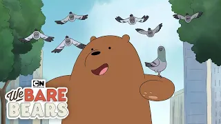 Pigeons | We Bare Bears | Cartoon Network