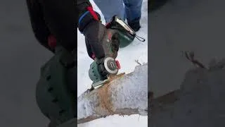 Testing a chain saw cordless BOSCH EasyCut 12 NanoBlade  Тестируем Пилу цепную аккумуляторную