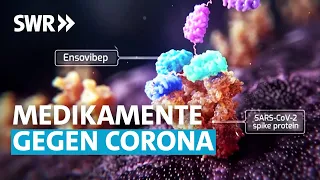 Wie funktioniert das Corona-Medikament Ensovibep? | SWR Aktuell