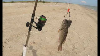 GREAT DAY! Using LIVE Croaker and Mullet Surf Fishing... Multiple Big Fish (part 1)