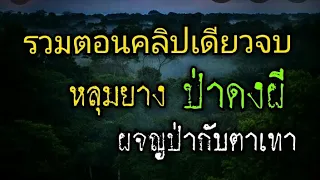 ฟังต่อเนื่องยาวๆ หลุมยาง ป่าดงผี ผจญป่ากับตาเทา (รวมตอนเดียวจบ)