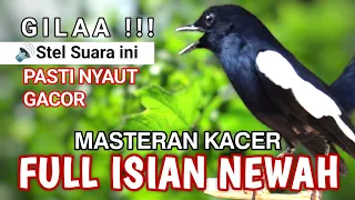 🔴GILA ⁉️ - MASTERAN KACER GACOR FULL ISIAN !! - Suara Burung Kacer yang cocok untuk Latihan ‼️