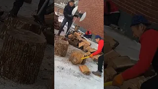 Axe)An Oddly Satisfying Wood Spilt#shortvideo #woodworking