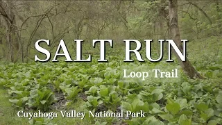 Salt Run Trail - Cuyahoga Valley National Park hiking