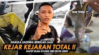 UMPAN PENGUMPUL IKAN RAME !! DAPET IKAN SAMPE RATUSAN EKOR TAPI ENDINGNYA MEMBAGONGKAN || Am#465