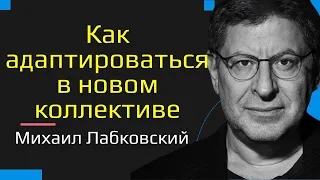 Михаил Лабковский Как адаптироваться в новом коллективе на работе