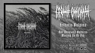 EFRAAH ENHSIKAAH "Letharia Vulpina" (Premiere track)