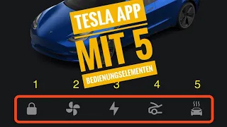 Tesla Lifehack APP mit 5 Bedienungselementen Model S 3 X Y Steuerung mit 5 Buttons Tipps & Tricks