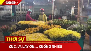 Cúc, ly, lay ơn… xuống nhiều, chợ hoa Đầm Sen mở cửa nhộn nhịp | Tuổi Trẻ TV