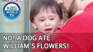 No! A dog ate William's flowers! [The Return of Superman/2020.03.15]