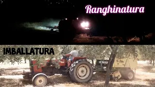 Ranghinatura e imballatura fieno 2021 | New Holland 65-66s-Tonutti GR350-Krone KR160 Classic-Line