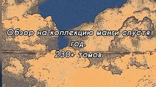 Обзор на коллекцию манги спустя год ( октябрь 2022 ) 230+ томов