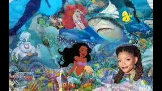 THE LITTLE MERMAID THE REAL STORY *ARIEL IS A SPECIES NOT A RACE !
