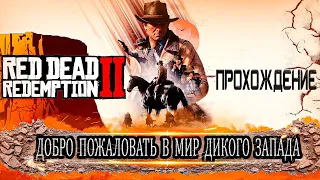 RED DEAD REDEMPTION 2 ● ПРОХОЖДЕНИЕ ЧАСТЬ 4 ● СТРИМ BALHISS