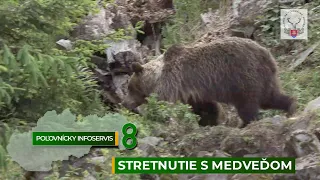 Poľovnícky infoservis: Stretnutie s medveďom