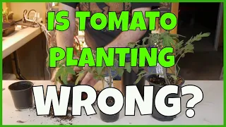 This will CHANGE the Way You Grow Tomatoes