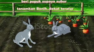 video lagu anak paud  Menanam Jagung di Kebun Kita