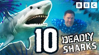 TOP 10 Deadliest Sharks | Deadly Mission Shark | CBBC