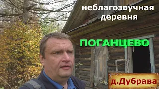 Деревня в лесу. Заброшенная деревня на севере Нижегородской области. Люди ушли навсегда.