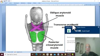 Respiratory Module 14 ( Muscles of larynx ) , by Dr. Wahdan .