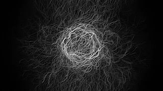 Physarum (Slime Mold) Simulations