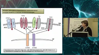 Казначеева Е.В. "Кальциевый сигналинг в норме и патологии"