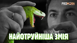 ЯК ЗБИРАЮТЬ ОТРУТУ ДЛЯ ПРОТИОТРУТИ 🐍 [VERITASIUM]