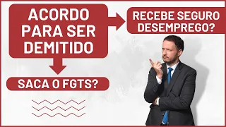 Acordo Trabalhista recebe FGTS e SEGURO DESEMPREGO?