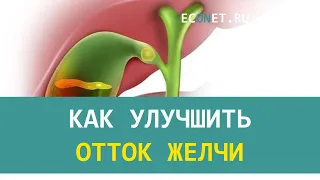 Как улучшить отток желчи | ECONET.RU