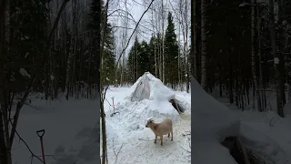 Зимовали в сугробе.