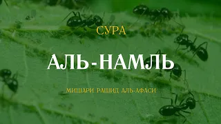 Сура Аль-Намль (Муравьи) | النمل | Мишари Рашид аль-Афаси