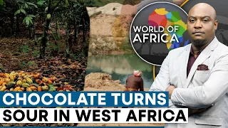 Chocolate prices rises as West Africa’s cocoa crisis deepens | World Of Africa