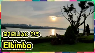 Elbimbo - Ocarina AC key(연주&악보)_오카리나연주