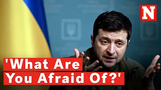 Zelensky Calls On Putin For Face-To-Face Talks: 'I Don't Bite'