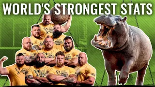 World's Strongest Stats: Breaking Down the Numbers Behind the 2021 World's Strongest Man Competition