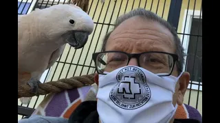 Reduce Plucking | Ep.142: Behavioural Enrichment for Parrots | Cockatude: Cockatoos with Attitude