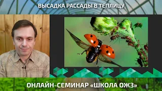 Не высаживайте рассаду в теплицу, пока не посмотрите этот урок!